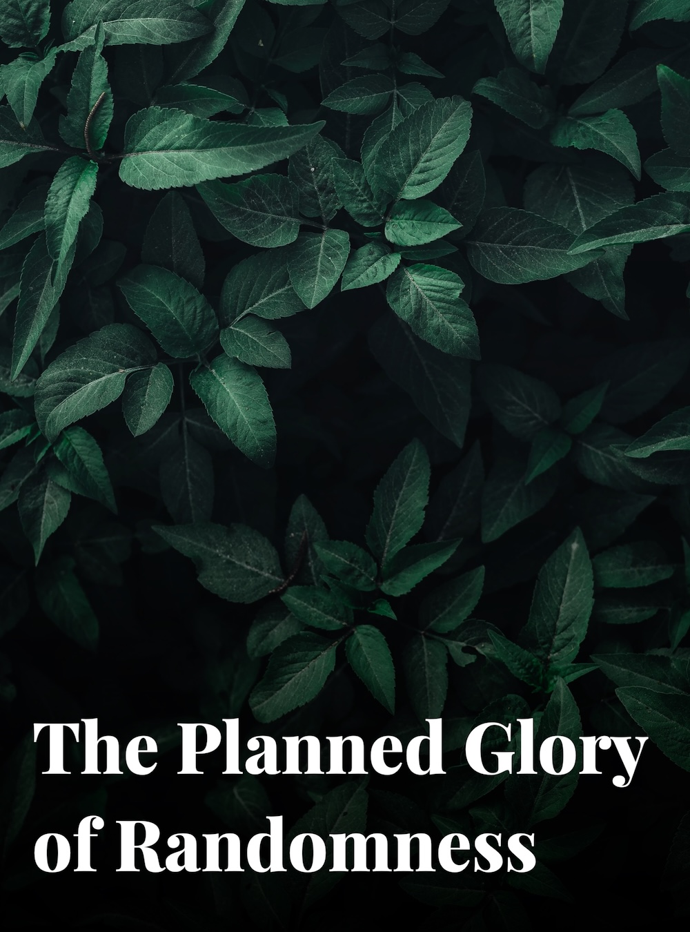 Poster card for The Planned Glory of Randomness article from The Glorify Initiative